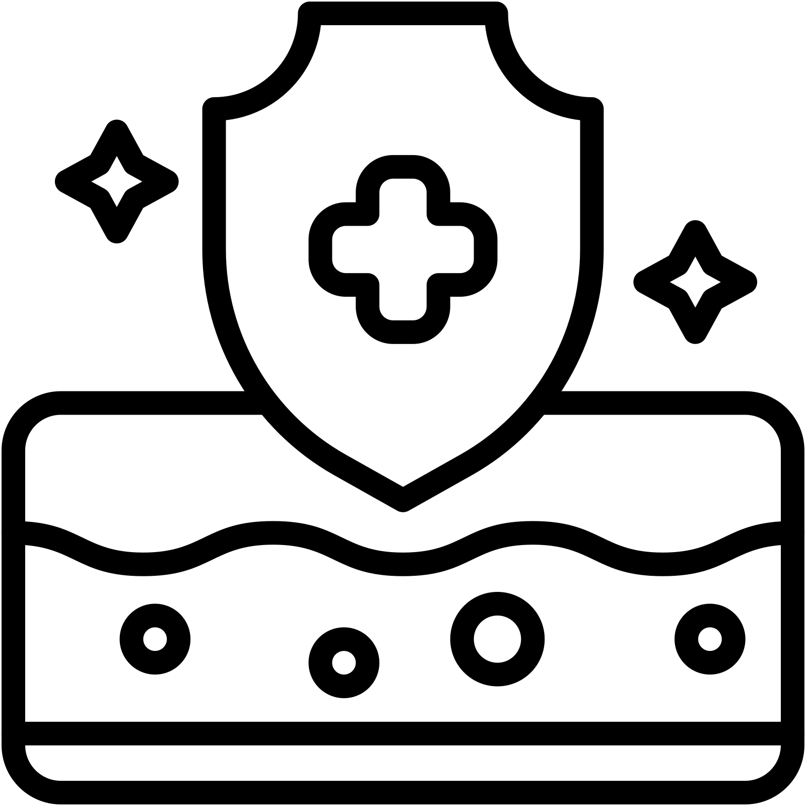 Accelerated Skin Healing and Repair